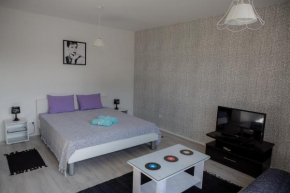 Отель Audrey Apartment  Белград